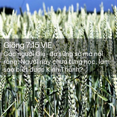 Picture 02 - Giăng 7:15 VIE - Các người Giu-đa sững sờ mà nói - Bible Verse Picture