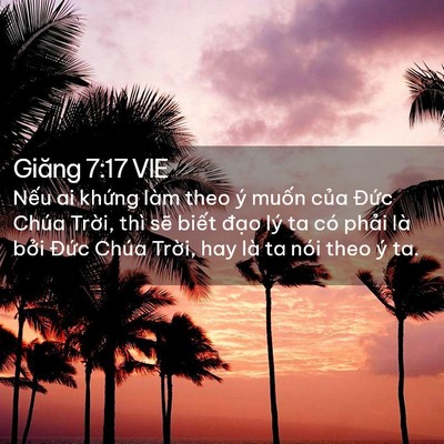 Picture 02 - Giăng 7:17 VIE - Nếu ai khứng làm theo ý muốn của Đức - Bible Verse Picture