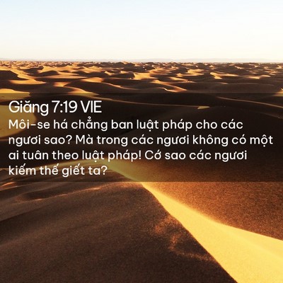 Picture 02 - Giăng 7:19 VIE - Môi-se há chẳng ban luật pháp cho các - Bible Verse Picture