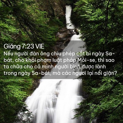 Picture 02 - Giăng 7:23 VIE - Nếu người đàn ông chịu phép cắt bì - Bible Verse Picture