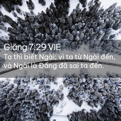 Picture 02 - Giăng 7:29 VIE - Ta thì biết Ngài; vì ta từ Ngài đến, - Bible Verse Picture