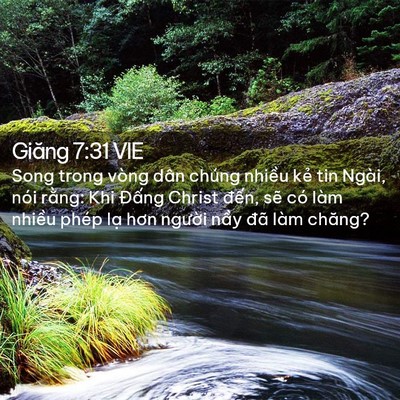 Picture 02 - Giăng 7:31 VIE - Song trong vòng dân chúng nhiều kẻ tin - Bible Verse Picture