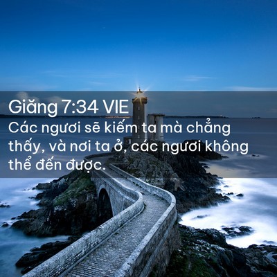 Picture 02 - Giăng 7:34 VIE - Các ngươi sẽ kiếm ta mà chẳng thấy, - Bible Verse Picture