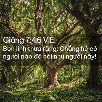 Picture 02 - Giăng 7:46 VIE - Bọn lính thưa rằng: Chẳng hề có - Bible Verse Picture