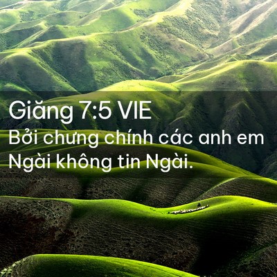 Picture 02 - Giăng 7:5 VIE - Bởi chưng chính các anh em Ngài không tin - Bible Verse Picture