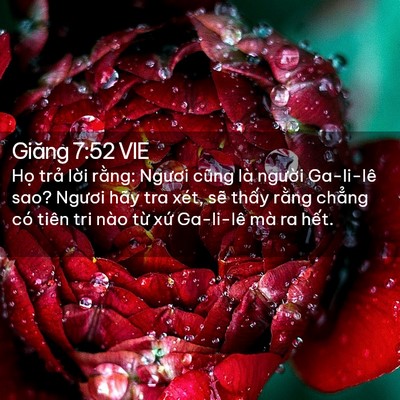 Picture 02 - Giăng 7:52 VIE - Họ trả lời rằng: Ngươi cũng là - Bible Verse Picture