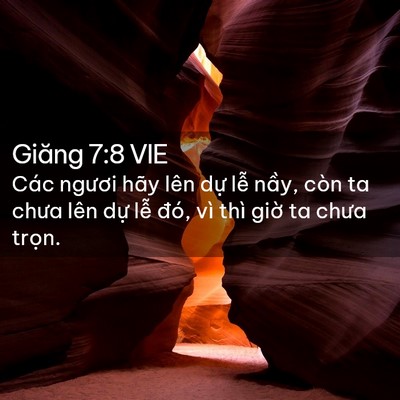 Picture 02 - Giăng 7:8 VIE - Các ngươi hãy lên dự lễ nầy, còn ta - Bible Verse Picture