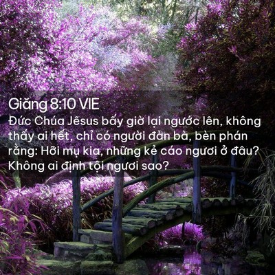 Picture 02 - Giăng 8:10 VIE - Đức Chúa Jêsus bấy giờ lại ngước - Bible Verse Picture