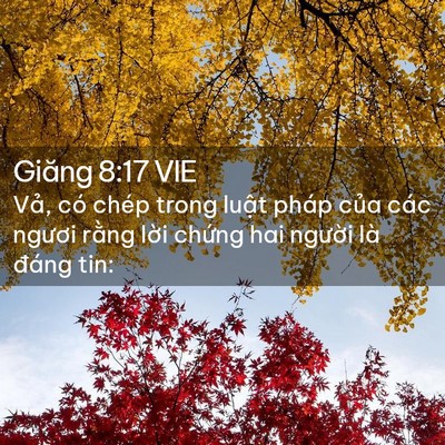 Picture 02 - Giăng 8:17 VIE - Vả, có chép trong luật pháp của các - Bible Verse Picture