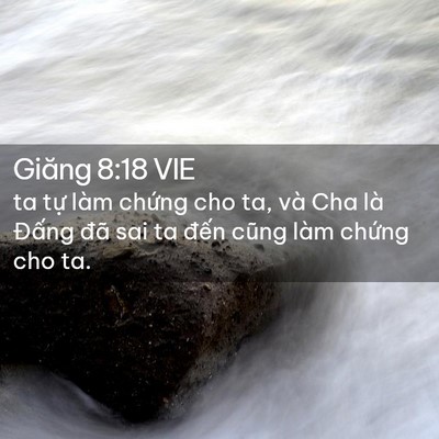 Picture 02 - Giăng 8:18 VIE - ta tự làm chứng cho ta, và Cha là Đấng - Bible Verse Picture