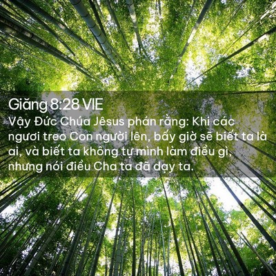 Picture 02 - Giăng 8:28 VIE - Vậy Đức Chúa Jêsus phán rằng: Khi các - Bible Verse Picture