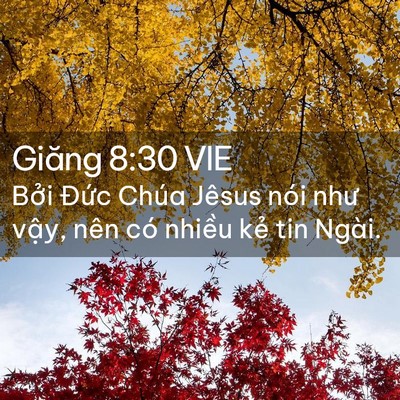 Picture 02 - Giăng 8:30 VIE - Bởi Đức Chúa Jêsus nói như vậy, nên - Bible Verse Picture