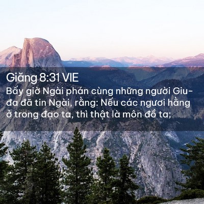 Picture 02 - Giăng 8:31 VIE - Bấy giờ Ngài phán cùng những người - Bible Verse Picture