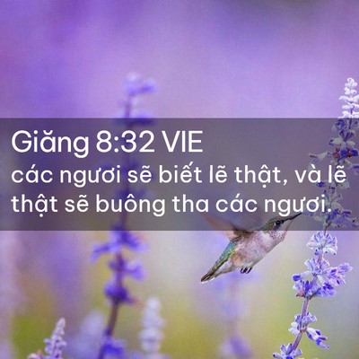 Picture 02 - Giăng 8:32 VIE - các ngươi sẽ biết lẽ thật, và lẽ - Bible Verse Picture