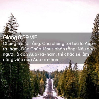 Picture 02 - Giăng 8:39 VIE - Chúng trả lời rằng: Cha chúng tôi tức - Bible Verse Picture