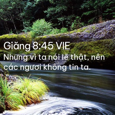 Picture 02 - Giăng 8:45 VIE - Nhưng vì ta nói lẽ thật, nên các ngươi - Bible Verse Picture