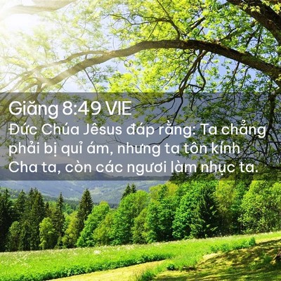 Picture 02 - Giăng 8:49 VIE - Đức Chúa Jêsus đáp rằng: Ta chẳng - Bible Verse Picture