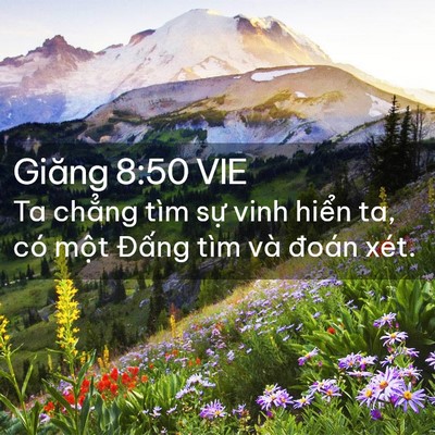 Picture 02 - Giăng 8:50 VIE - Ta chẳng tìm sự vinh hiển ta, có một - Bible Verse Picture