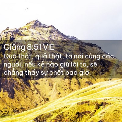 Picture 02 - Giăng 8:51 VIE - Quả thật, quả thật, ta nói cùng các - Bible Verse Picture