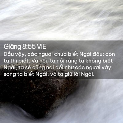 Picture 02 - Giăng 8:55 VIE - Dầu vậy, các ngươi chưa biết Ngài - Bible Verse Picture
