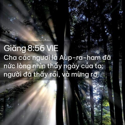 Picture 02 - Giăng 8:56 VIE - Cha các ngươi là Aùp-ra-ham đã nức lòng - Bible Verse Picture