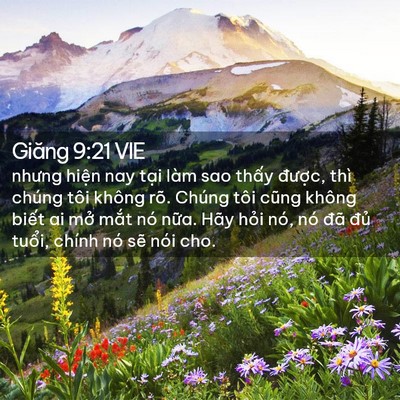 Picture 02 - Giăng 9:21 VIE - nhưng hiện nay tại làm sao thấy được, - Bible Verse Picture