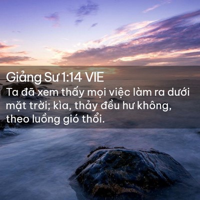 Picture 02 - Giảng Sư 1:14 VIE - Ta đã xem thấy mọi việc làm ra dưới - Bible Verse Picture