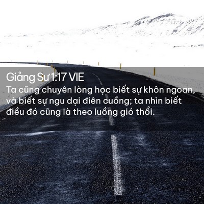 Picture 02 - Giảng Sư 1:17 VIE - Ta cũng chuyên lòng học biết sự khôn - Bible Verse Picture