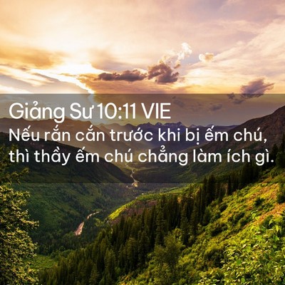 Picture 02 - Giảng Sư 10:11 VIE - Nếu rắn cắn trước khi bị ếm chú, - Bible Verse Picture