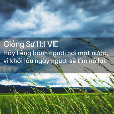 Picture 02 - Giảng Sư 11:1 VIE - Hãy liệng bánh ngươi nơi mặt nước, - Bible Verse Picture