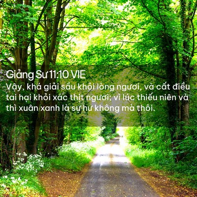 Picture 02 - Giảng Sư 11:10 VIE - Vậy, khá giải sầu khỏi lòng ngươi, - Bible Verse Picture