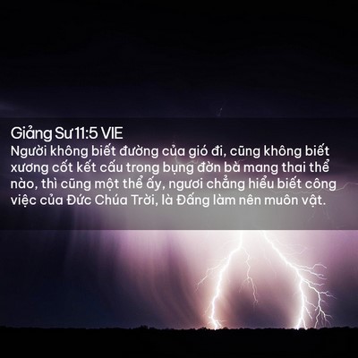 Picture 02 - Giảng Sư 11:5 VIE - Người không biết đường của gió đi, - Bible Verse Picture