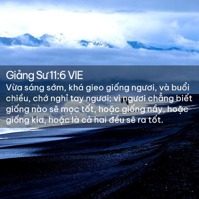 Picture 02 - Giảng Sư 11:6 VIE - Vừa sáng sớm, khá gieo giống ngươi, và - Bible Verse Picture