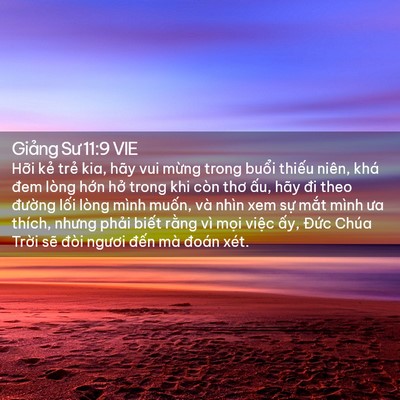 Picture 02 - Giảng Sư 11:9 VIE - Hỡi kẻ trẻ kia, hãy vui mừng trong - Bible Verse Picture