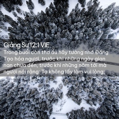 Picture 02 - Giảng Sư 12:1 VIE - Trong buổi còn thơ ấu hãy tưởng nhớ - Bible Verse Picture