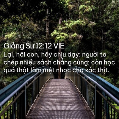 Picture 02 - Giảng Sư 12:12 VIE - Lại, hỡi con, hãy chịu dạy: người ta - Bible Verse Picture