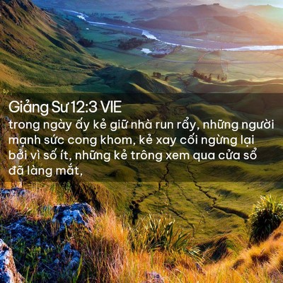 Picture 02 - Giảng Sư 12:3 VIE - trong ngày ấy kẻ giữ nhà run rẩy, - Bible Verse Picture