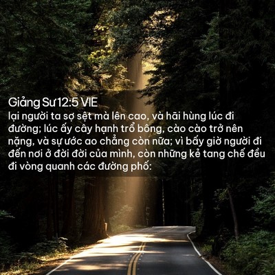 Picture 02 - Giảng Sư 12:5 VIE - lại người ta sợ sệt mà lên cao, và - Bible Verse Picture
