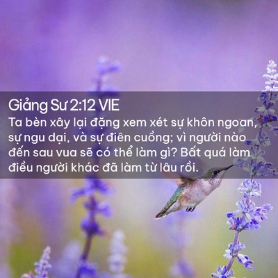 Picture 02 - Giảng Sư 2:12 VIE - Ta bèn xây lại đặng xem xét sự khôn - Bible Verse Picture