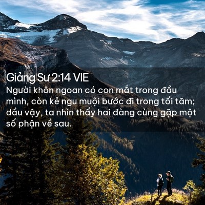 Picture 02 - Giảng Sư 2:14 VIE - Người khôn ngoan có con mắt trong đầu - Bible Verse Picture