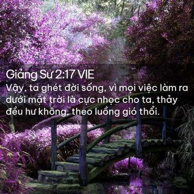 Picture 02 - Giảng Sư 2:17 VIE - Vậy, ta ghét đời sống, vì mọi việc - Bible Verse Picture