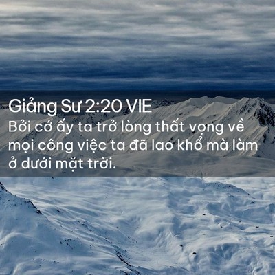Picture 02 - Giảng Sư 2:20 VIE - Bởi cớ ấy ta trở lòng thất vọng về - Bible Verse Picture