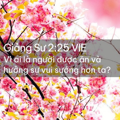 Picture 02 - Giảng Sư 2:25 VIE - Vì ai là người được ăn và hưởng - Bible Verse Picture
