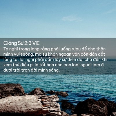 Picture 02 - Giảng Sư 2:3 VIE - Ta nghĩ trong lòng rằng phải uống rượu - Bible Verse Picture