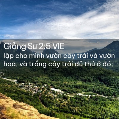 Picture 02 - Giảng Sư 2:5 VIE - lập cho mình vườn cây trái và vườn - Bible Verse Picture