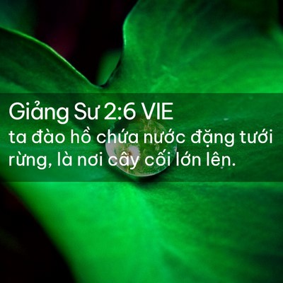 Picture 02 - Giảng Sư 2:6 VIE - ta đào hồ chứa nước đặng tưới - Bible Verse Picture