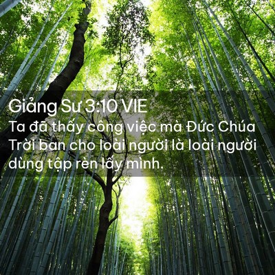 Picture 02 - Giảng Sư 3:10 VIE - Ta đã thấy công việc mà Đức Chúa - Bible Verse Picture