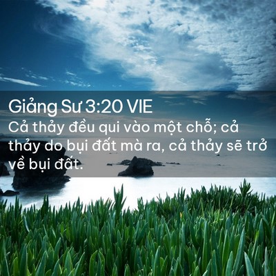 Picture 02 - Giảng Sư 3:20 VIE - Cả thảy đều qui vào một chỗ; cả - Bible Verse Picture