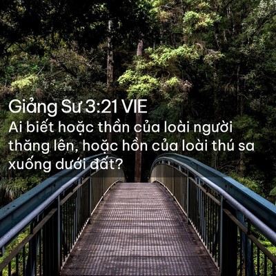 Picture 02 - Giảng Sư 3:21 VIE - Ai biết hoặc thần của loài người - Bible Verse Picture