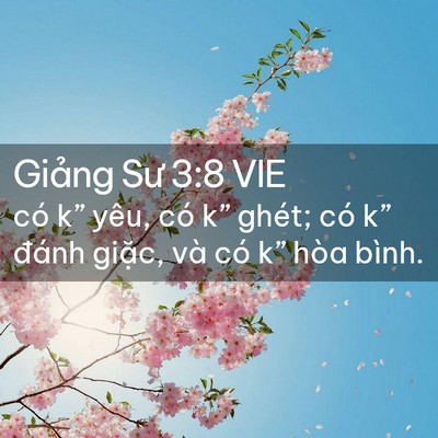 Picture 02 - Giảng Sư 3:8 VIE - có k” yêu, có k” ghét; có k” đánh - Bible Verse Picture